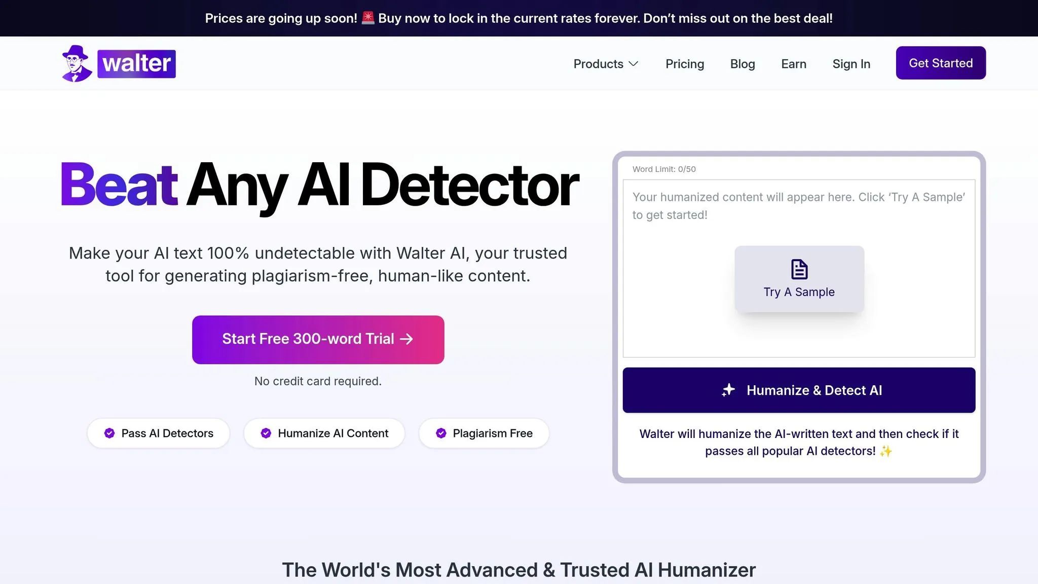 Walter Writes AI humanizer interface